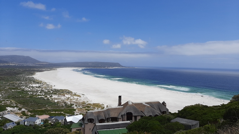 Best of the Cape Tour image 3