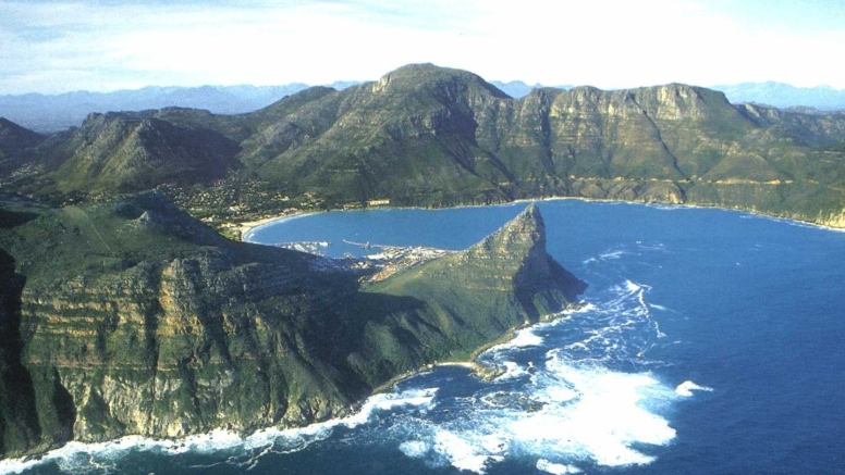 1 Hour Special Boat Trip in Hout Bay image 8