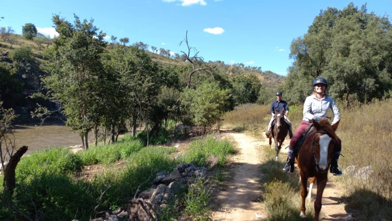 Sunset Horseback Safari image 3