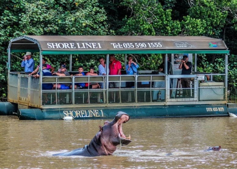 Hippo & Croc Boat Cruise image 9