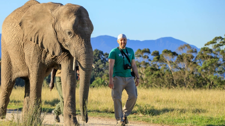 Morning Elephant Walk image 8