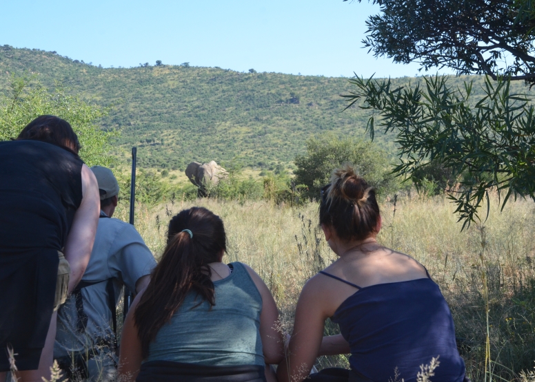 Pilanesberg Game Walk image 5