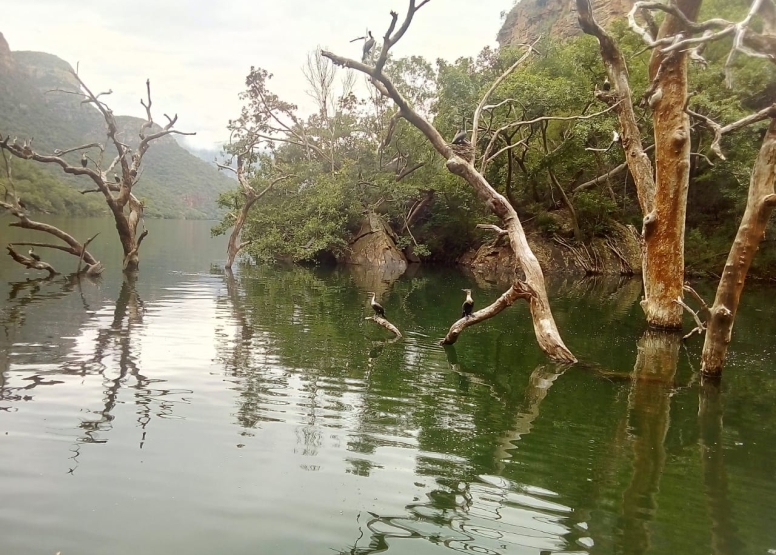 Blyde Dam Boat Cruise BCS image 7