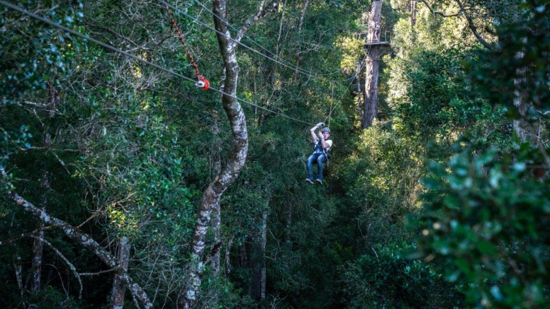 Tsitsikamma Canopy Tours image 6