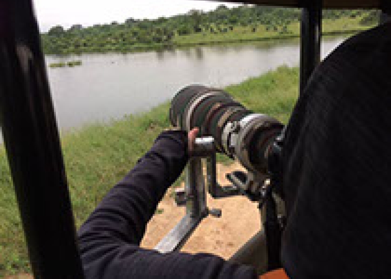 Photographic Full Day Private Safari Kruger Park image 8