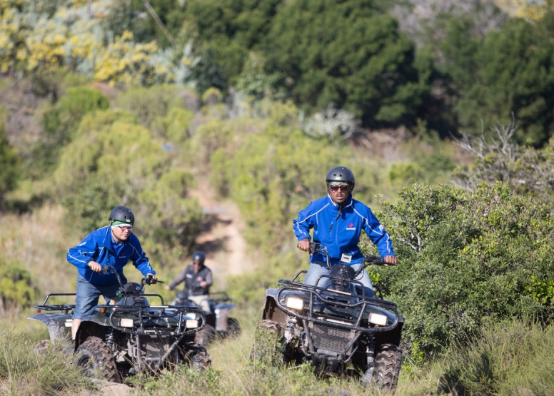 Quad Bike Tour (20min) image 8