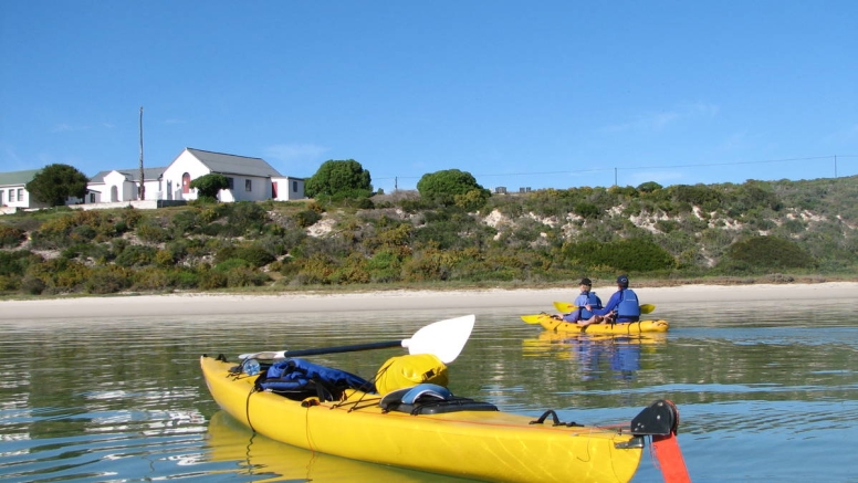 Simon’s Town Penguin Trail image 3