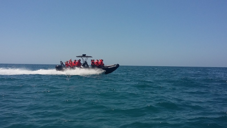 Seal Island Family Boat Trip image 2