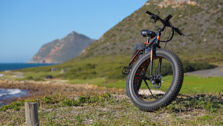 Electric Bike Cape Peninsula Tour image 9