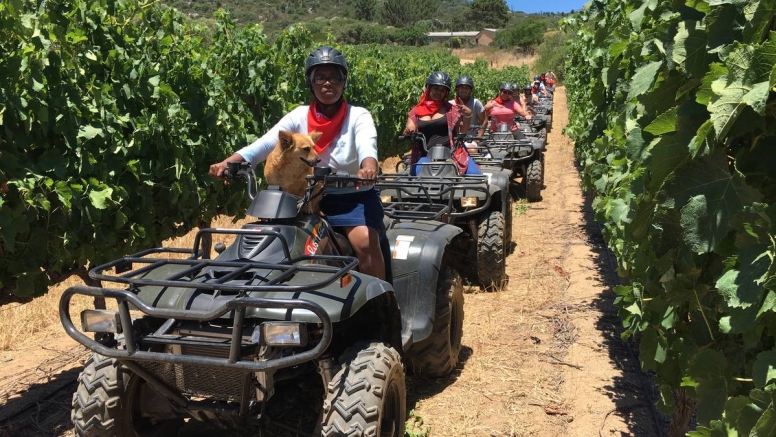 One Hour Quad Bike Trail Paarl image 1