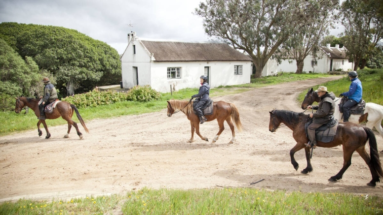 Beach Horse Ride - Gansbaai image 5