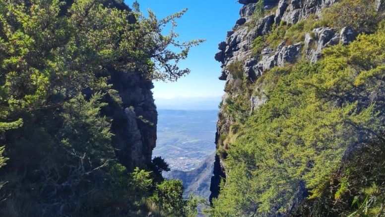 Platteklip Gorge image 4