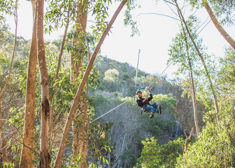 Tree Top Slides (Hermanus) image 3