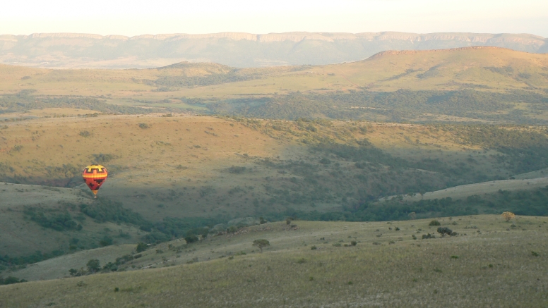 Safari Flight image 6