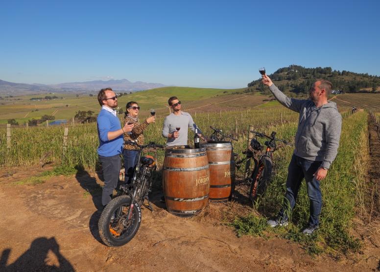 Electric Bike Winelands Tour image 6