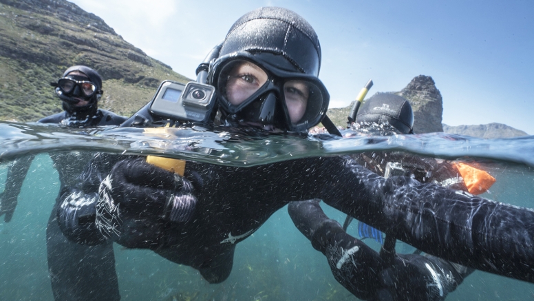 Swim with Seals image 3