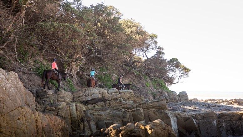 7 night 8 day Wild Coast Horse Trail our Signature Monthly Adventure Trail image 3