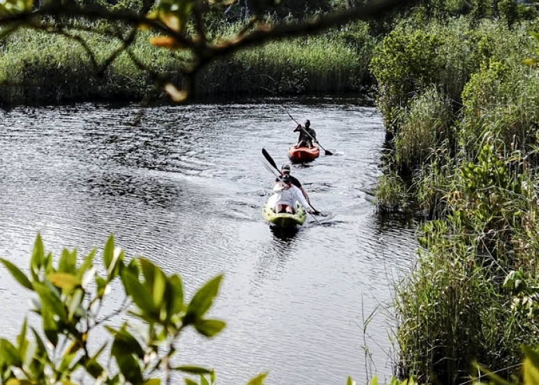 4 Hour Kosi Bay Kayaking Adventure image 1