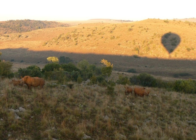 Exclusive Hot Air Ballooning Safari Flight for Two image 7