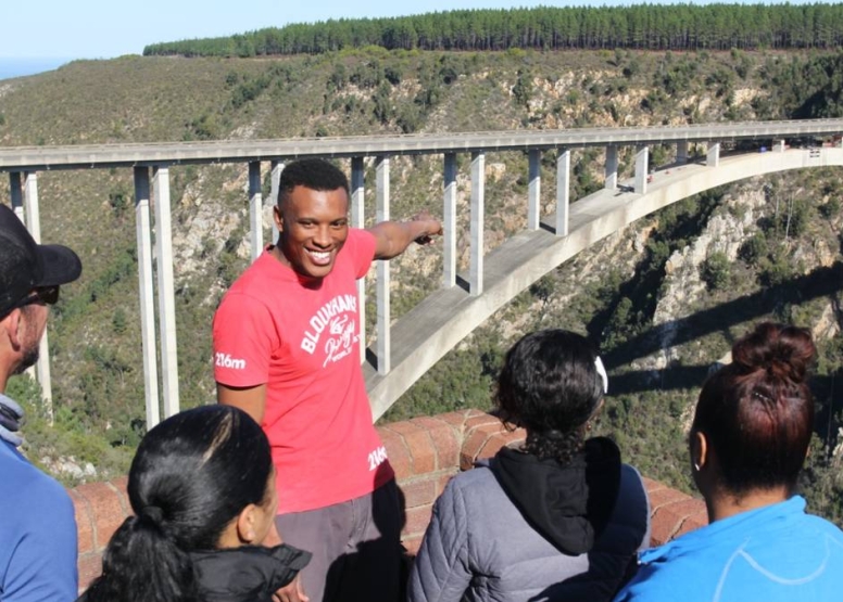 Bloukrans Sky Walk Tour image 7