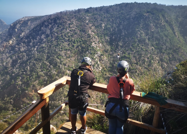 Knysna Ziplines image 6