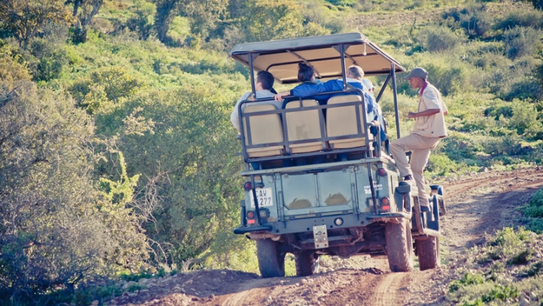 Bush Safari image 1