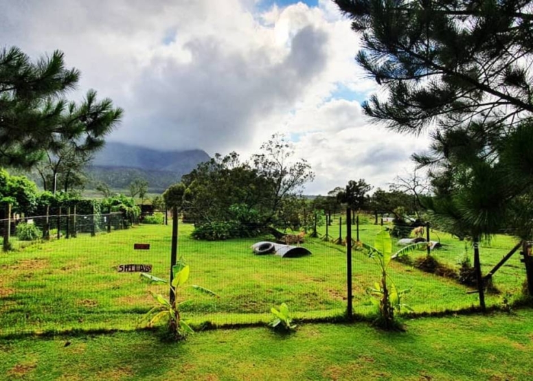 Tsitsikamma Wolf Sanctuary image 7