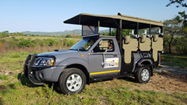 Photographic Full Day Private Safari Kruger Park image 5