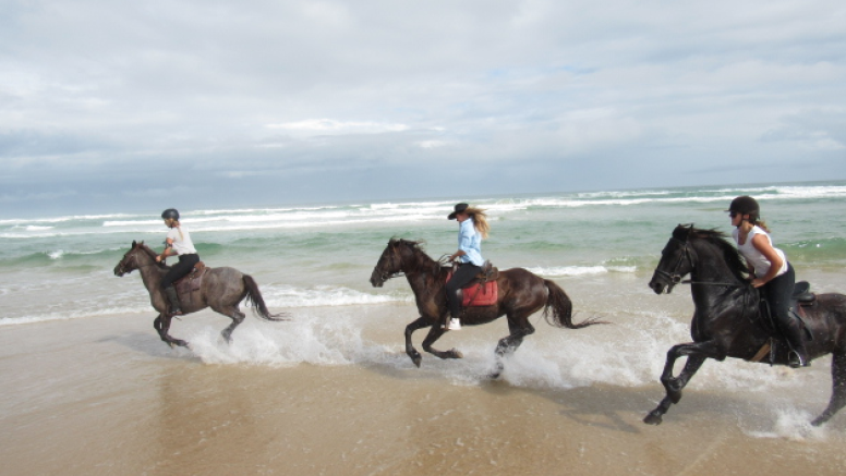 Full Day Beach Horse Ride image 9