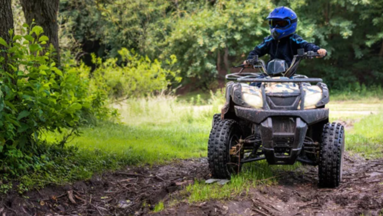 30 Minute Quad Bike Ride Cradle of Humankind image 1