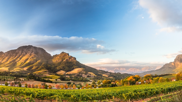 Winelands Full Day Tour image 1