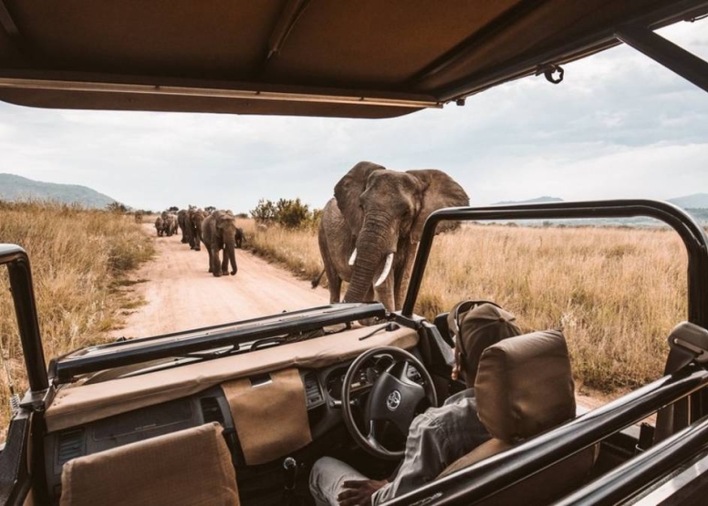 Afternoon KNP Open Vehicle Safaris image 9 Afternoon KNP Open Vehicle Safaris image 9