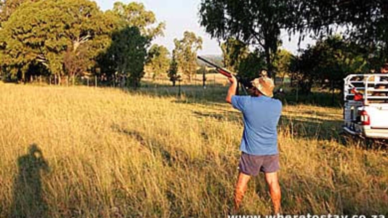 Clay Pigeon shooting 15 shots image 2