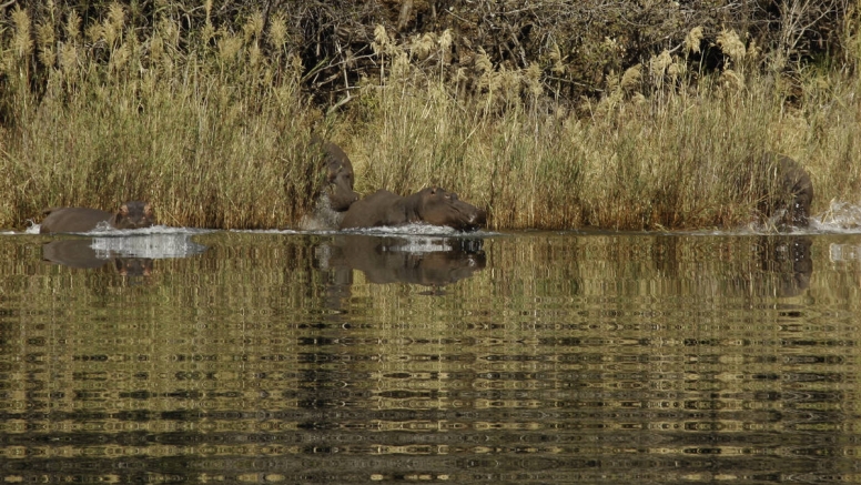 Blyde River Canyon Boat Cruise image 3