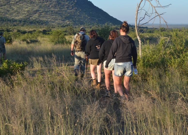 Pilanesberg Game Walk image 4