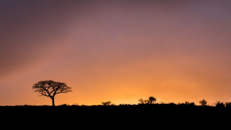 3 Hour Sunset Western Shores - Isimagaliso Wetland Park image 6