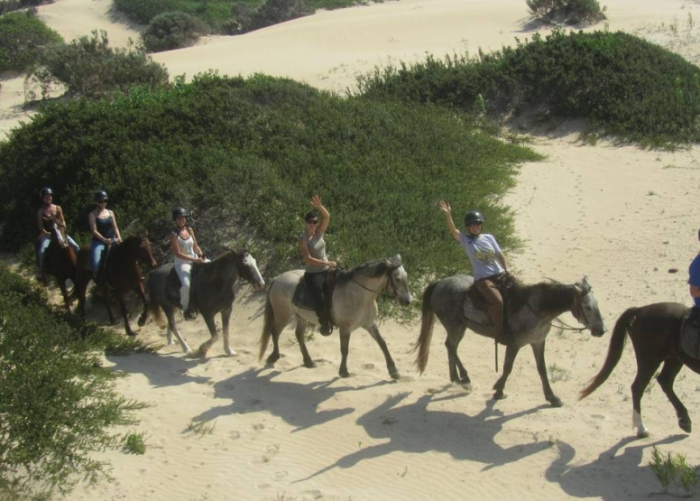 Beach Horse Trail Intermediate image 2