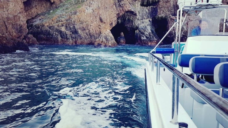 Knysna Eco Marine Boat Trip image 3