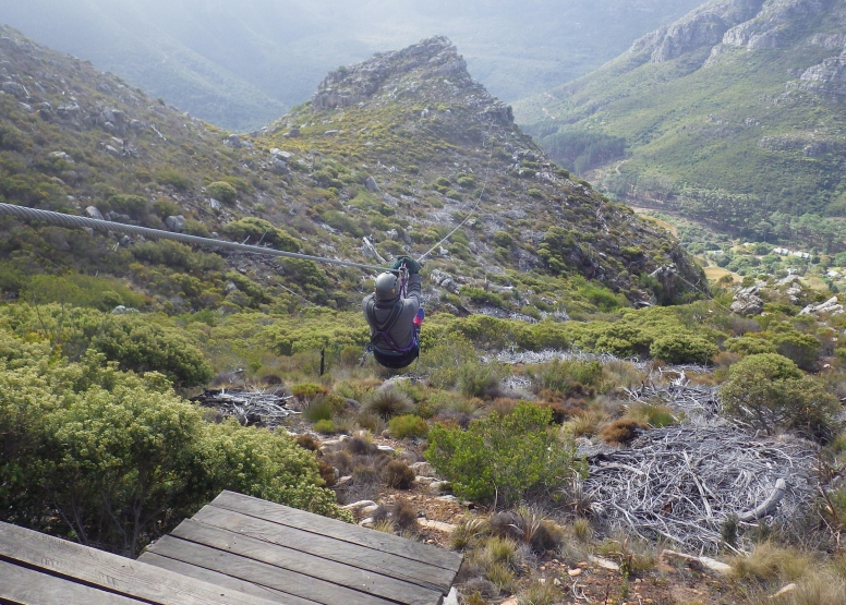 Cape Town Ziplines image 1