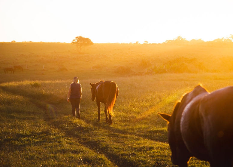 7 night 8 day Wild Coast Horse Trail our Signature Monthly Adventure Trail image 1