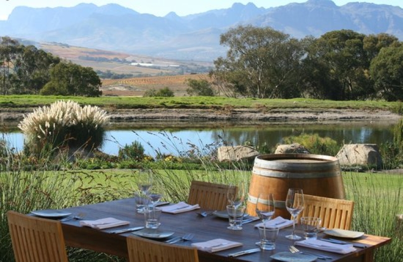 wine estate, wine tasting, wine tours, hop on hop off bus, stellenbosch, cape winelands