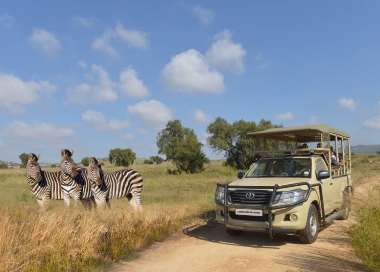 Full Safari Tour image 1