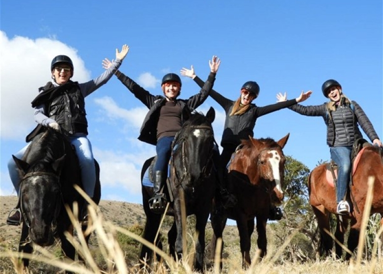 1 Hour Sunset Horse Ride Harties image 7