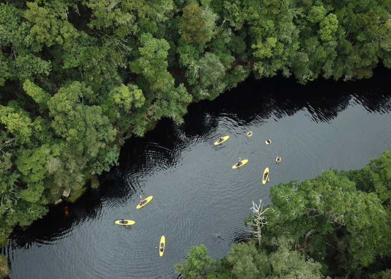 Tubing and SUP Forest Combo image 1