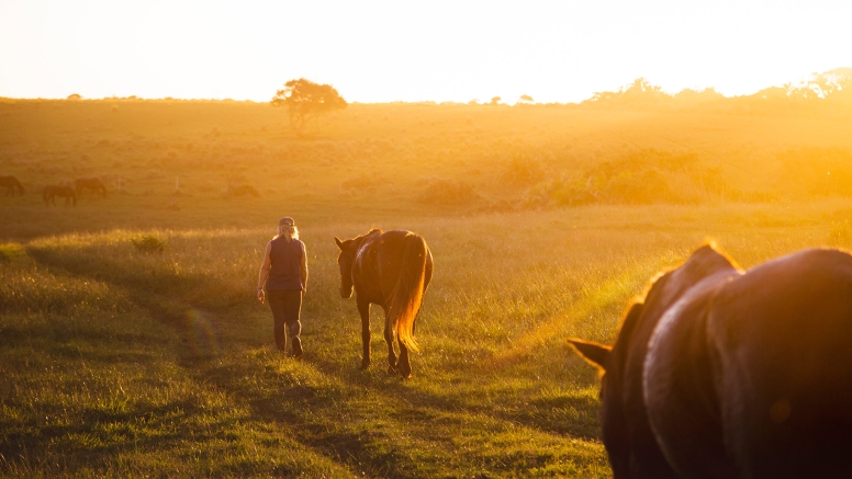 7 night 8 day Wild Coast Horse Trail our Signature Monthly Adventure Trail image 1