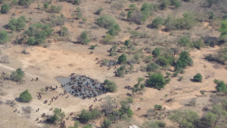 Game Viewing Scenic Flight image 4