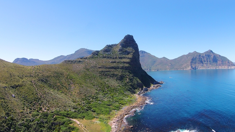 1 Hour Special Boat Trip in Hout Bay image 7
