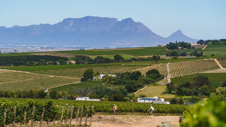 Stellenbosch Winelands Luxury EBike Cycle Tour image 4