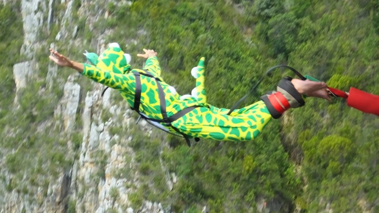 Bungy Jump image 3