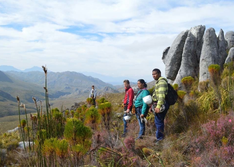 Cape Canopy Tour Zipline image 3